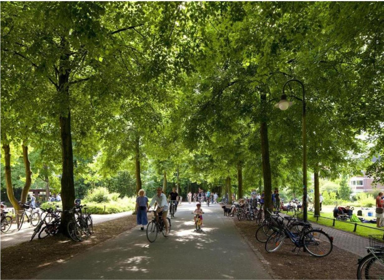Gemuetliches Und Modernes Apartement In Gruenen Top-Lage Muenster Esterno foto